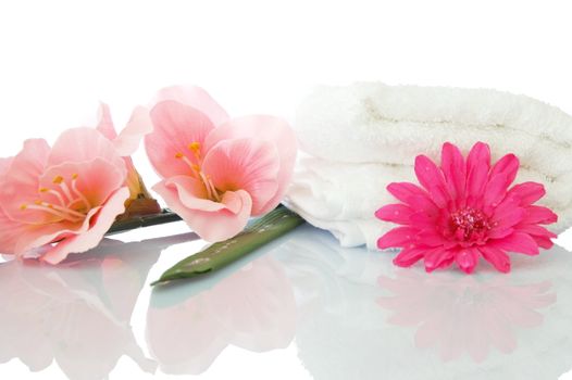 spa zen and wellness concept isolated on white background