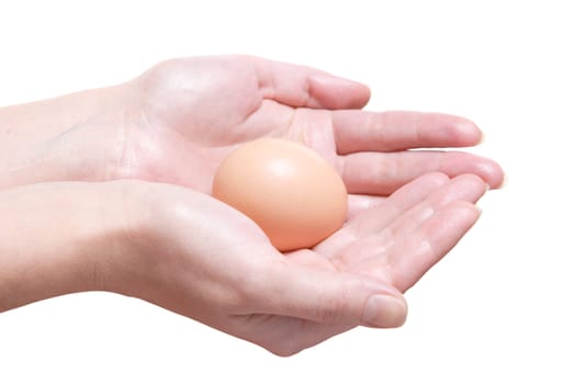 Egg in Hands, Egg, Hand, Finger, Tenderness, Frail, Shell, Calcium, Protein, Bird, Caution, Insulated, White, background, Brown