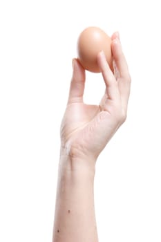 Egg in Hand, Finger, Tenderness, Frail, Shell, Calcium, Protein, Bird, Caution, Insulated, White, background, Brown, Care, Useful, Exquisite, Graceful, Food, Meal
