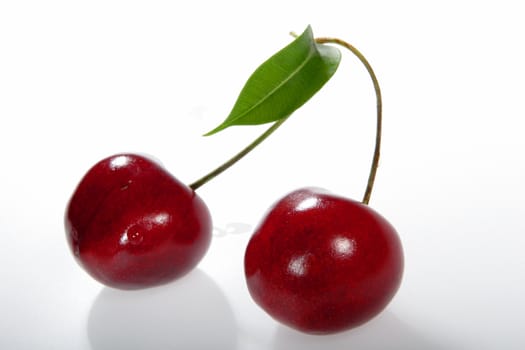 Berries, Two Cherries with Leaf