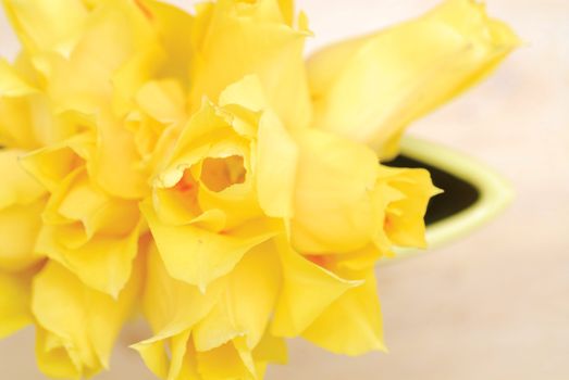 Yellow tulips on the table in green interior 12