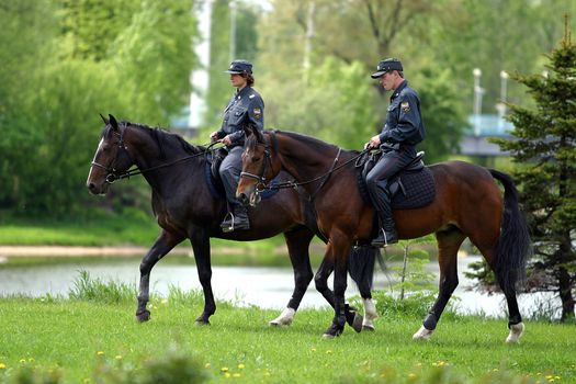 The Russian policeman on brown horses