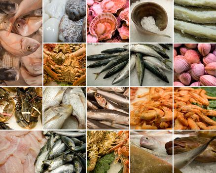 Collection of seafood photographies on market stalls.