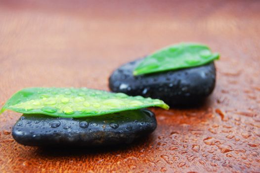 zen stones and leaves showing a wellness or bath concept