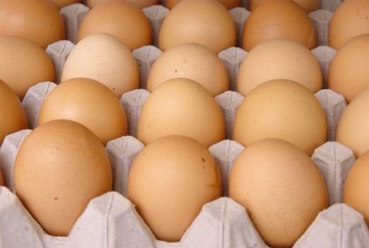 plenty of eggs in paper container. Raw food.