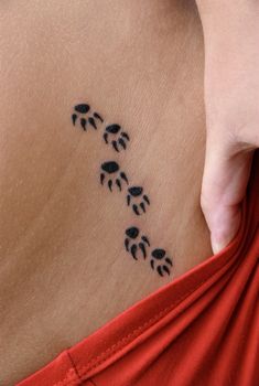 Paws tattoo trail - Highly detailed skin with fresh tattoo