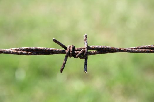 Closeup of rusty barbed wire fence in the field.