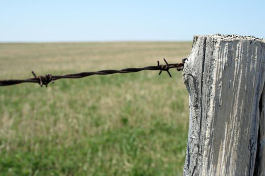 Old wooden post and barbed wire farm fence.