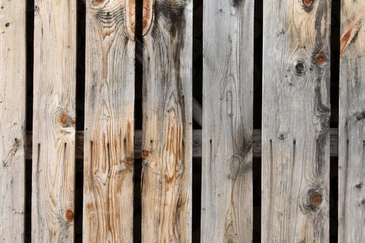 Knotty wooden planks - colorful natural wood texture.