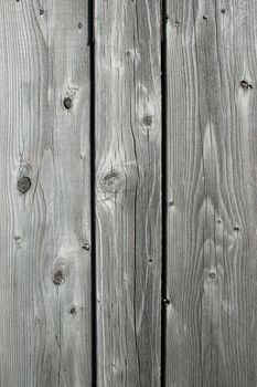 Unpainted wooden planks. Knotty wood texture background.