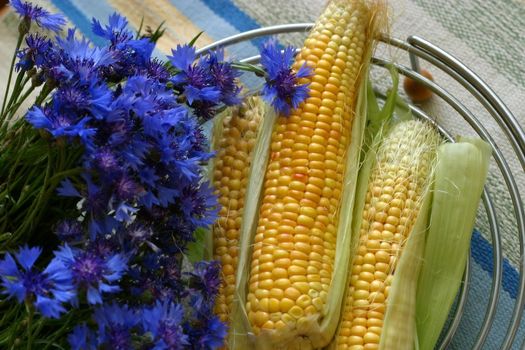 Cornflowers and grain in an iron vase on a mat
