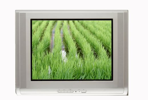 Blank TV ready for commercial use with rice paddy