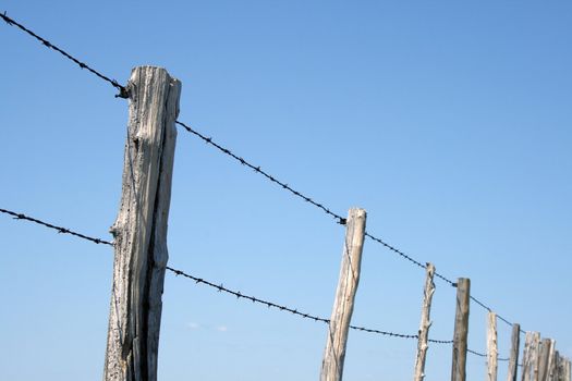Old wooden posts and barbed wire farm fence against blue sky.