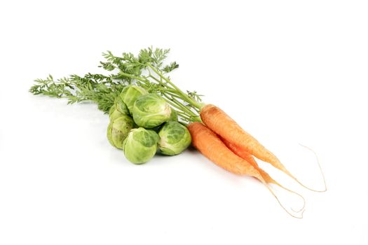 Bunch of ripe crunchy carrots and a pile of green sprouts on a reflective white background