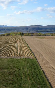 Rural landscape. Cultivated farmland in spring.