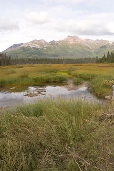 Wrangell-St. Elias National Park and Preserve is a United States National Park in southern Alaska.