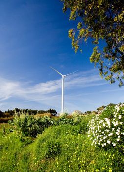 Wind turbine on a beautiful green meadow, energy concept