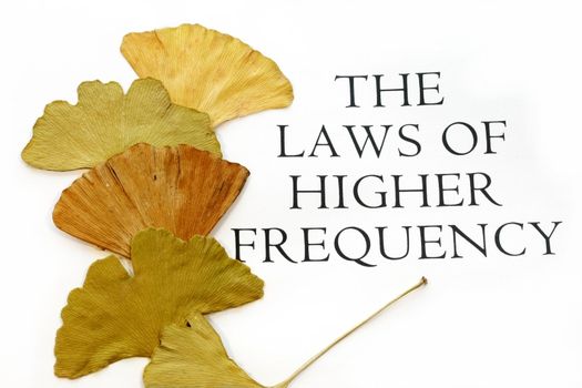 Law of Highier Frequency Text with autumn leaves