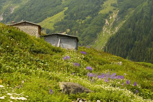 Turkish village in north east Turkey 