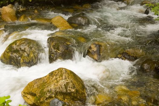 stream in the" Kachkar "park in north east Turkey