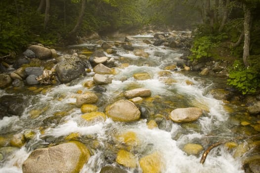 stream in the" Kachkar "park in north east Turkey