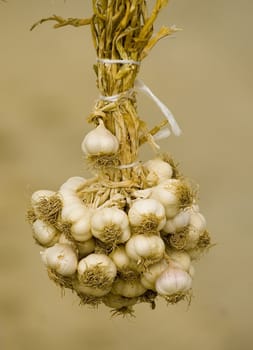 Close up on garlic in turkish market