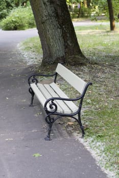 wooden bench in a park