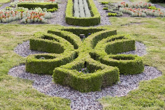 garden's pattern made of boxwood