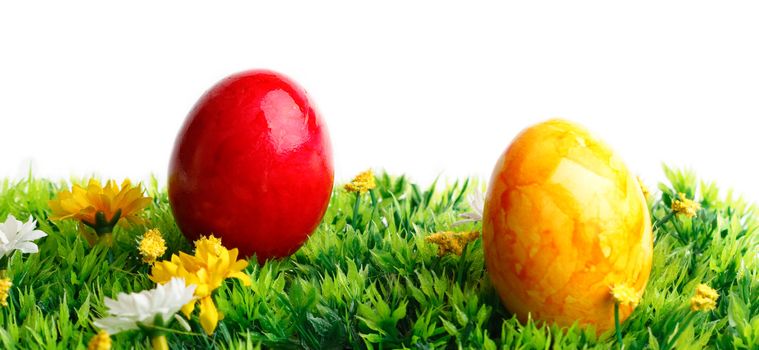 Two colored eggs on grass isolated on white background