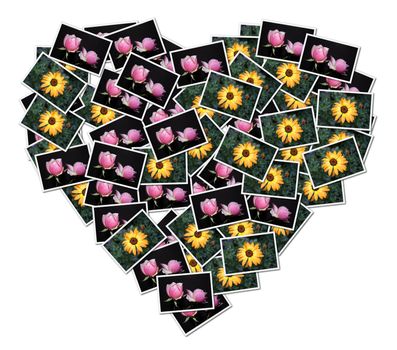 A heart-shaped collage made with pictures of flowers
