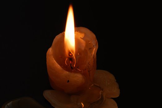 candle, black background