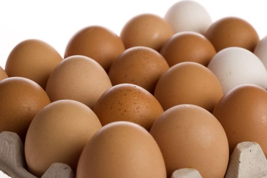 Carton of eggs on the white background