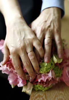Hands of the adult of the man and the woman
