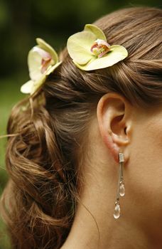 The image of the girl in ear rings 