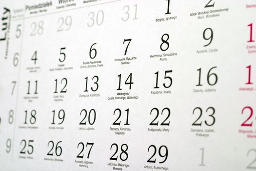 Calendar 2008 on the white background