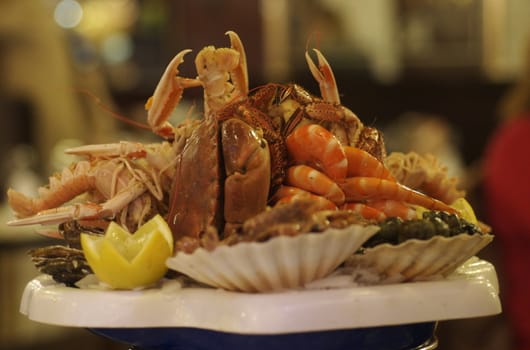 Tray of a selection of seafood