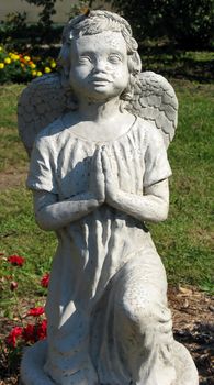 in a garden, an angel statue