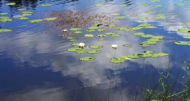 Perfect lake in one of Scandinavian countries                               