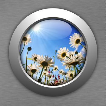 flower button for internet web site showing summer concept