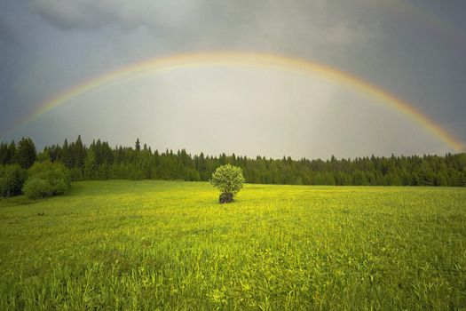 the ranbow over the field landscape