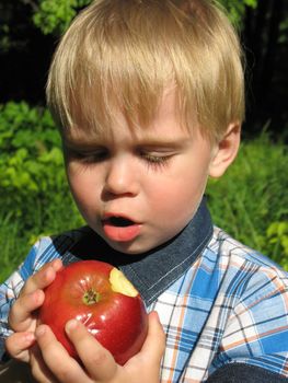 The little boy with concentration eats an apple