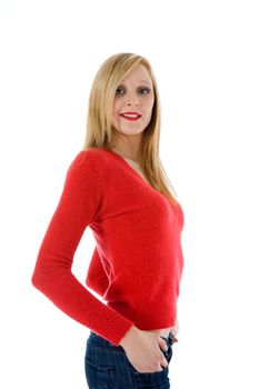 Portrait of the young beautiful girl on insulated background