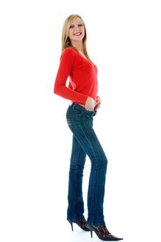 Portrait of the young beautiful girl on insulated background