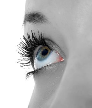  blue eyes 