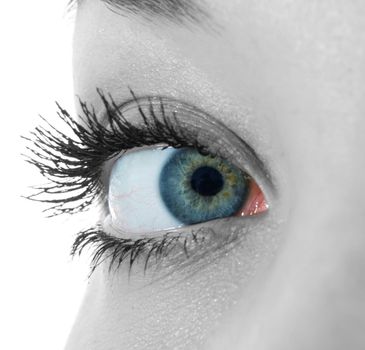  blue eyes 