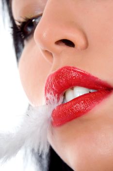 portrait of the brunette with plume on white