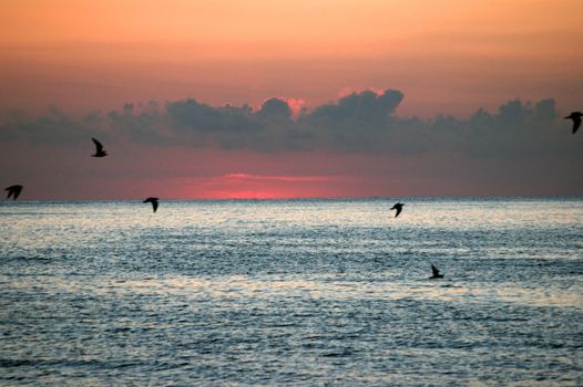 sea sunrise of Black sea, Bulgaria