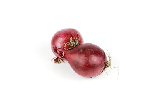 Two raw unpeeled red onions on a reflective white backgrounds