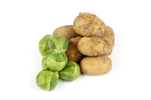 Small pile of brown unpeeled potatoes with green spouts on a reflective white background