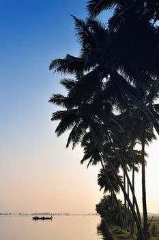 View of the silhouettes of palm trees in early morning